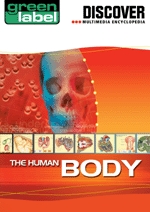 Discover The Human Body box